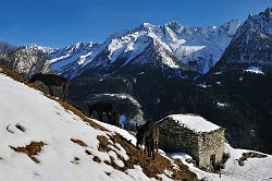 Giro ad anello Savogno-Dasile in Val Bregaglia partendo dalla cascata dell'Acquafraggia il 15 febb 09 9 - FOTOGALLERY